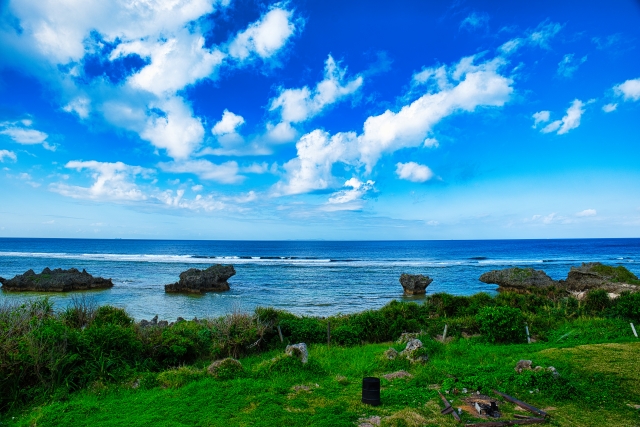 沖縄の豊かな自然